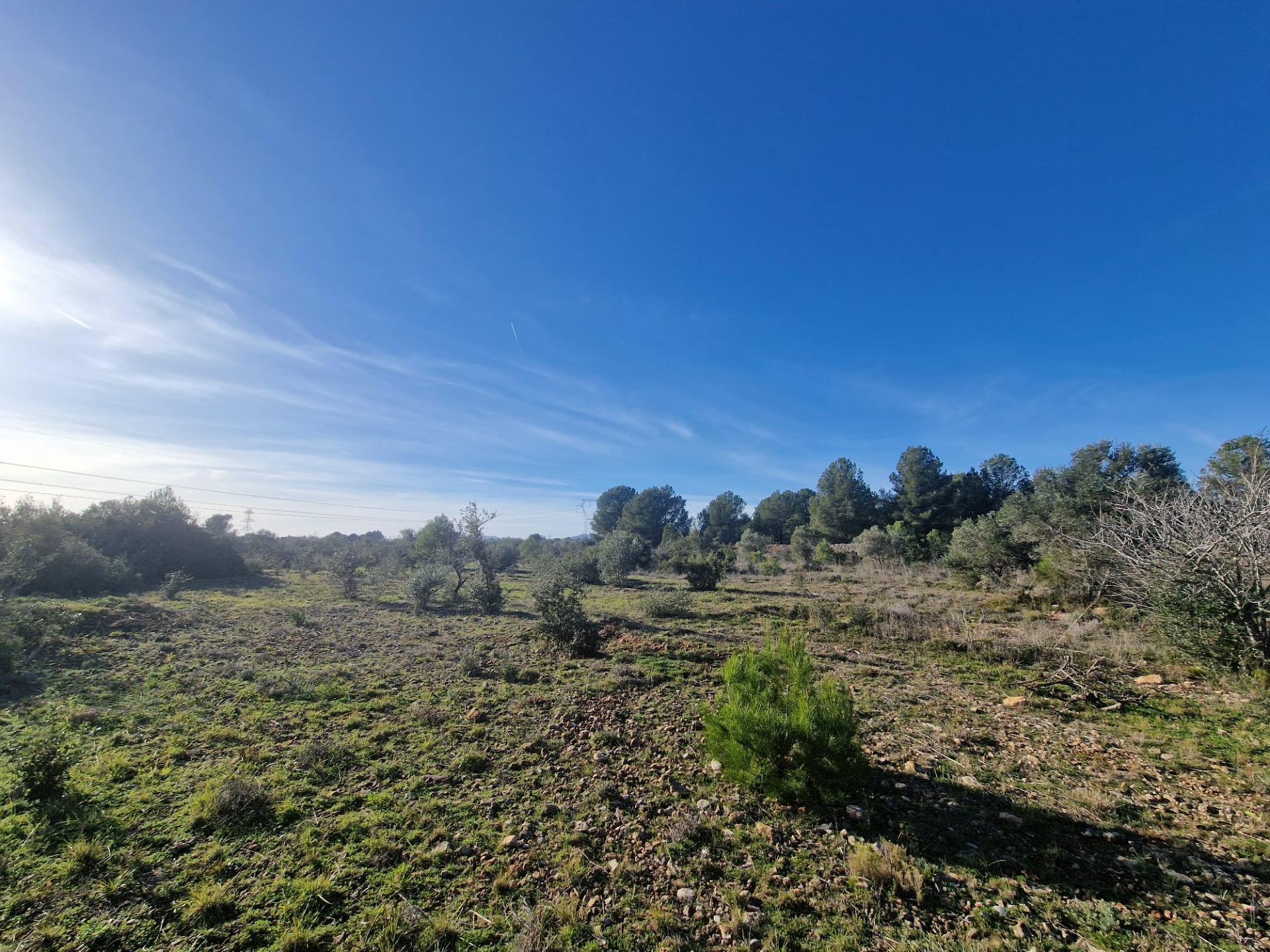 Suelo en venta, El Pont d'Armentera, Tarragona, Tarragona