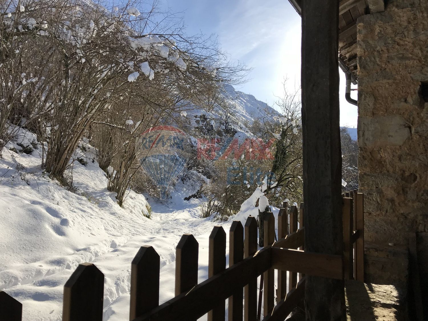 Casas o chalets-Venta-PiloÃ±a-440046-Foto-7