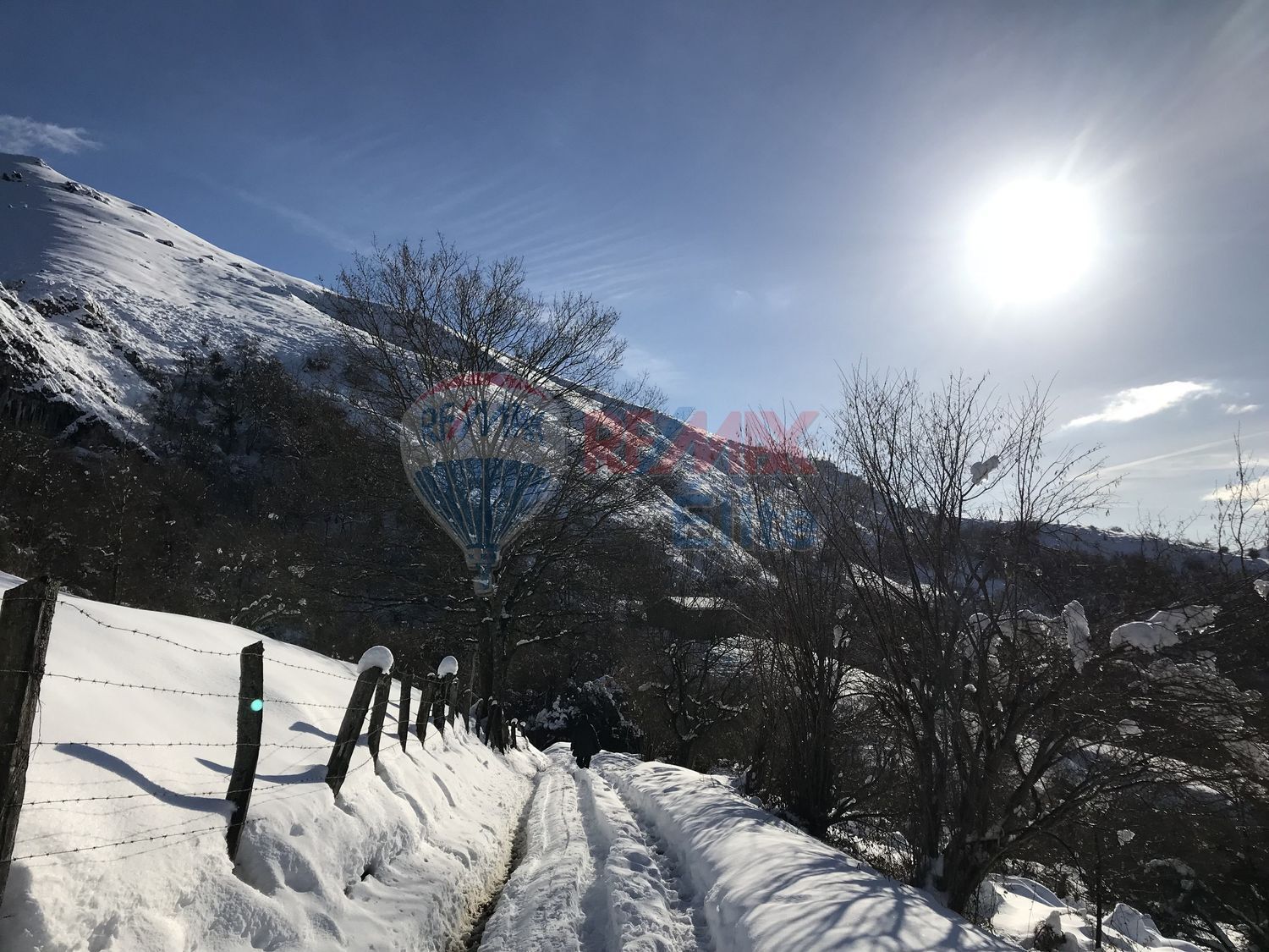 Casas o chalets-Venta-PiloÃ±a-440046-Foto-20