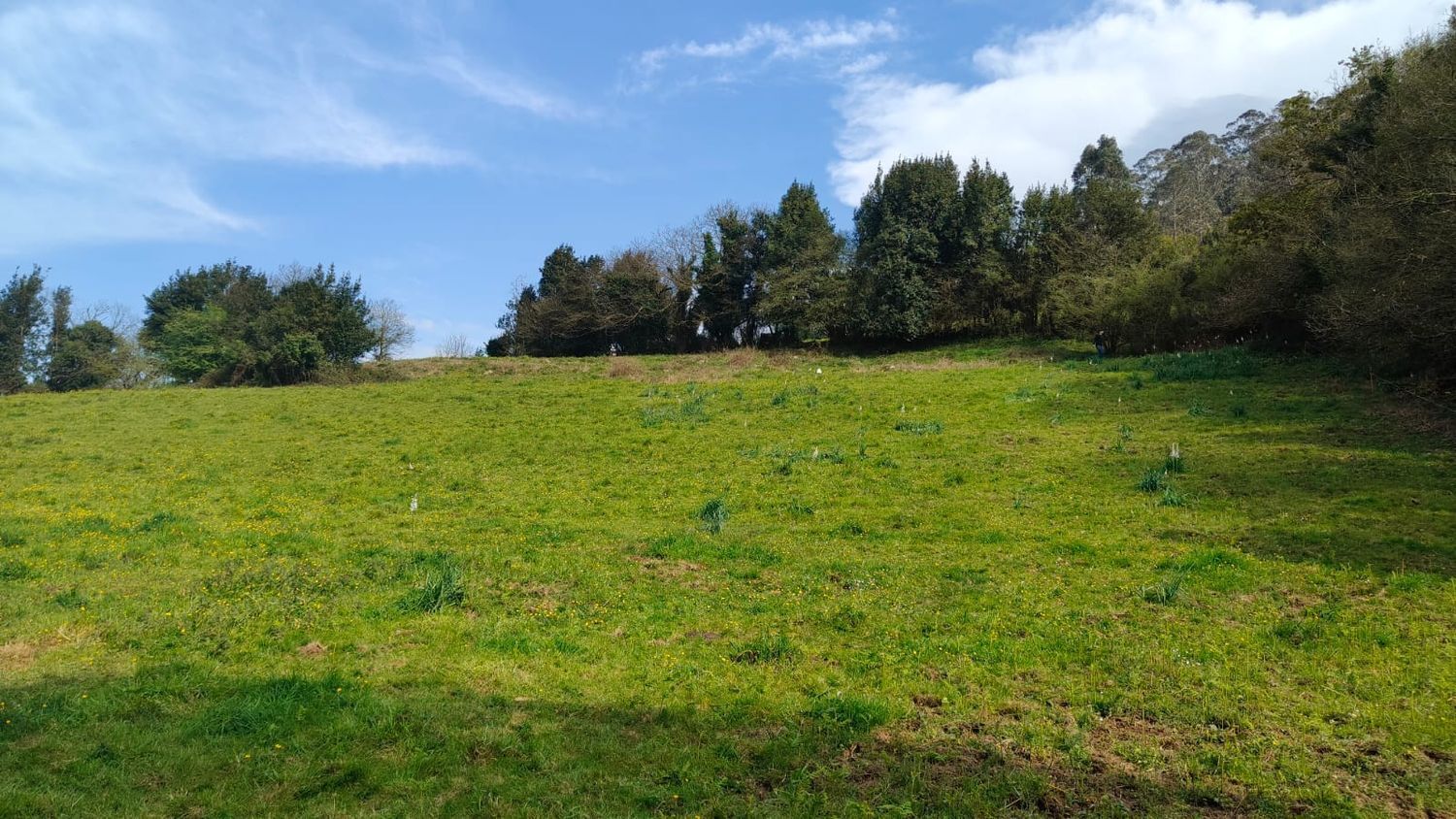 Fincas y solares-Venta-GijÃ³n-1718738-Foto-25