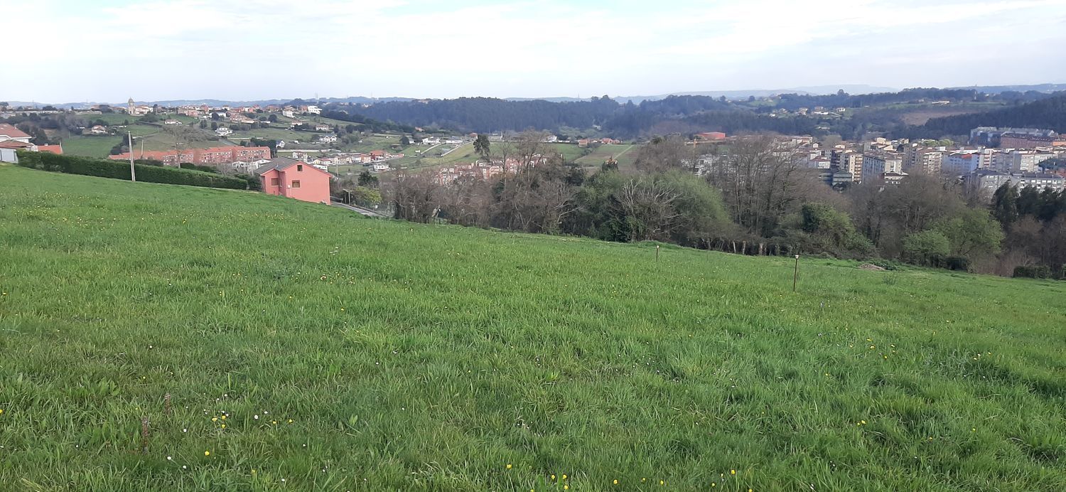 Suelo en venta, Las Vallinas, Asturias