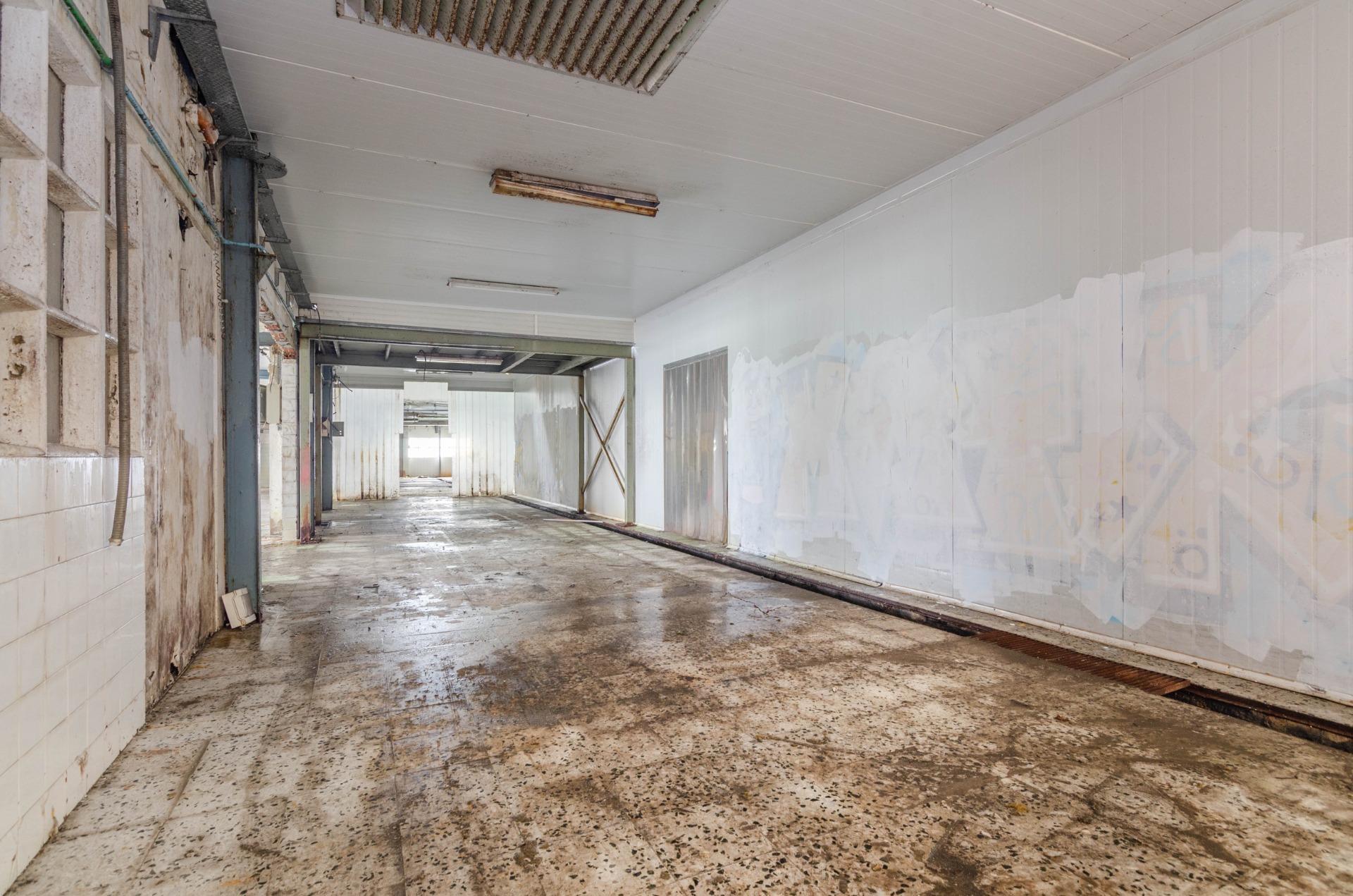 Naves-Venta-PiloÃ±a-2090363-Foto-26