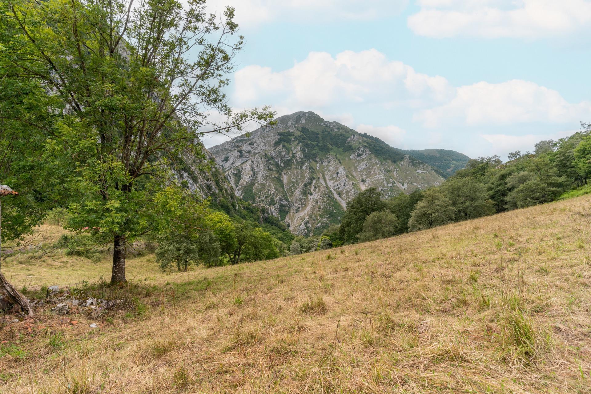 Casas o chalets-Venta-Amieva-1840297-Foto-19