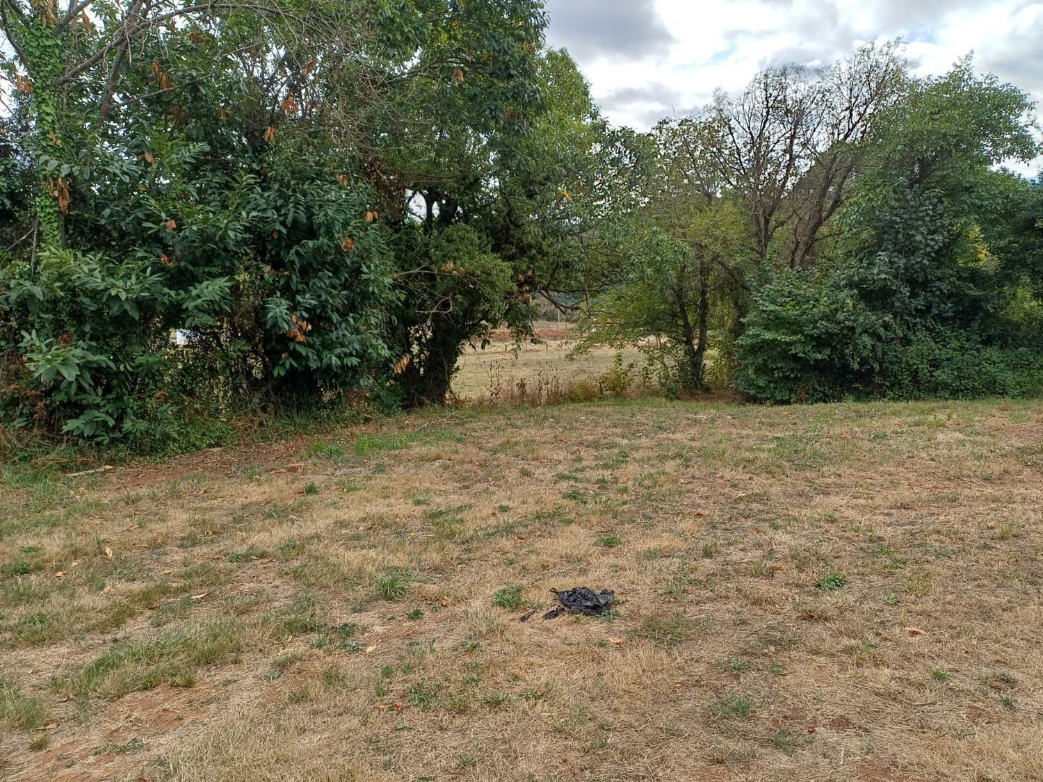 Fincas y solares-Venta-Las Regueras-1845963-Foto-13