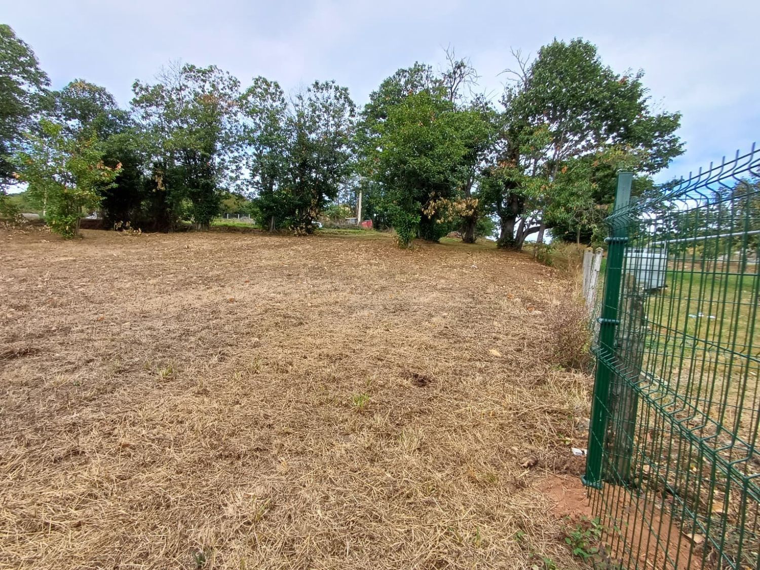 Fincas y solares-Venta-Las Regueras-1845966