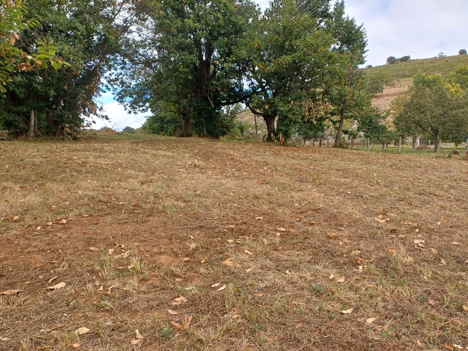 Fincas y solares-Venta-Las Regueras-1845966-Foto-15