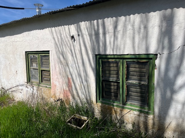 Naves-Venta-Vecinos-1865618-Foto-5