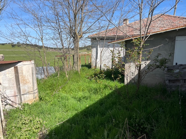 Naves-Venta-Vecinos-1865618-Foto-4
