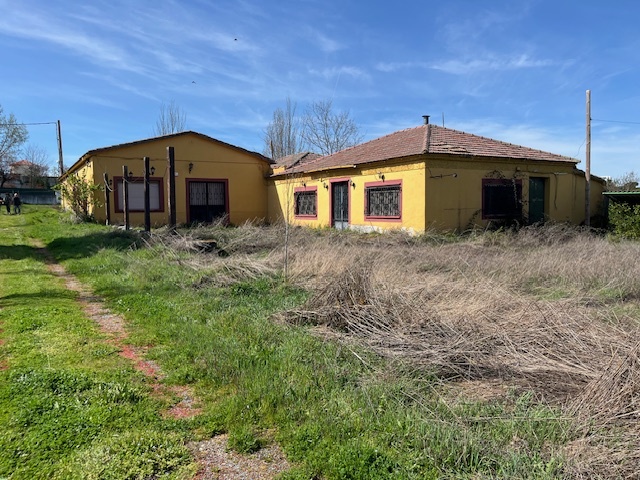 Naves-Venta-Vecinos-1865618-Foto-3