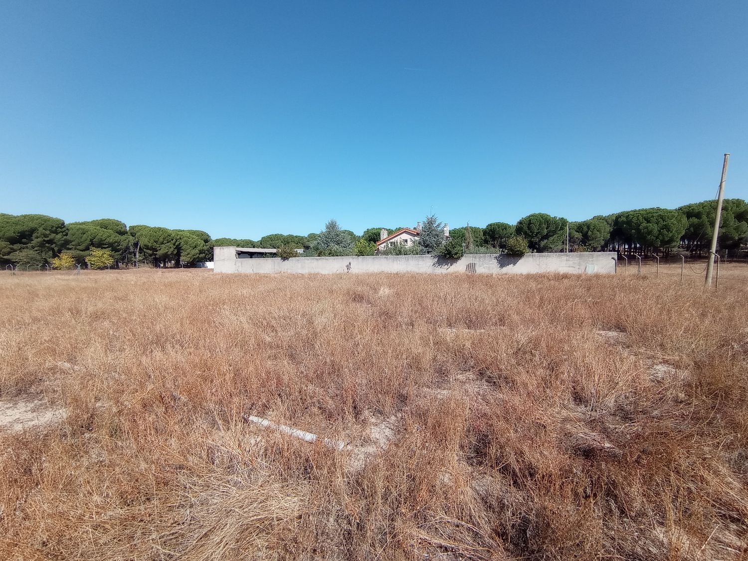 Fincas y solares-Venta-Laguna de Duero-1846038-Foto-4