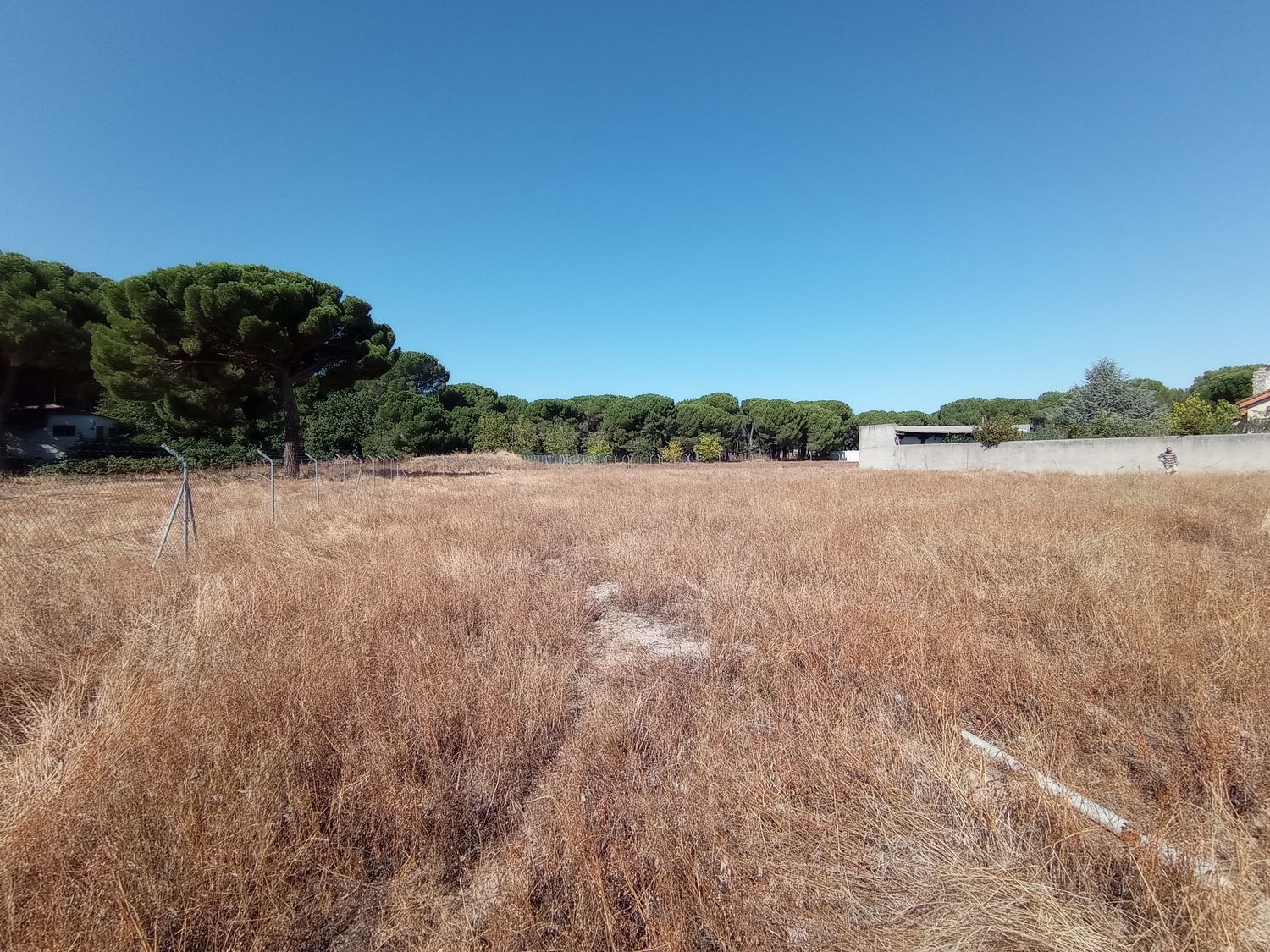 Fincas y solares-Venta-Laguna de Duero-1846038-Foto-5
