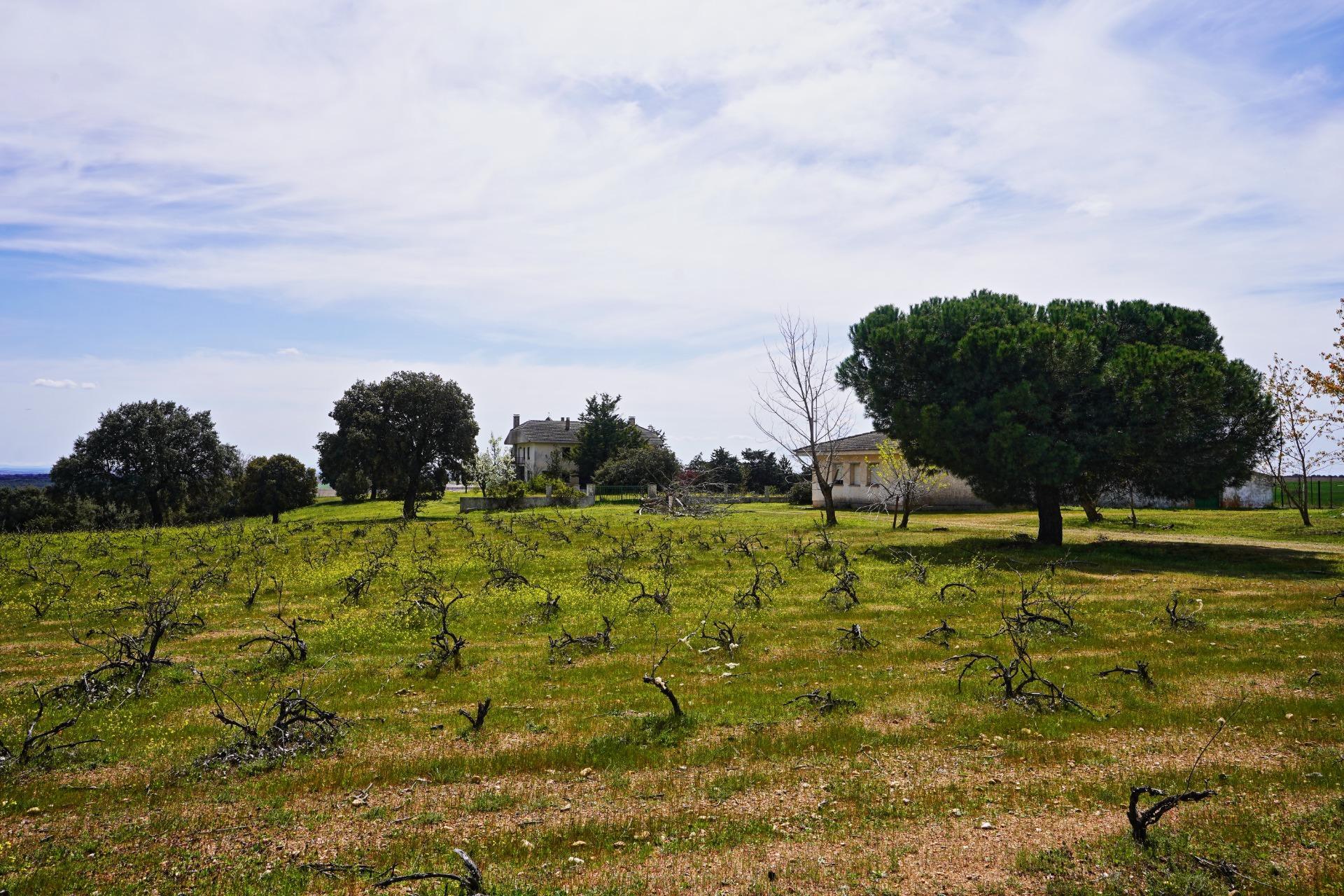 Terreno en venta en Topas 1/14