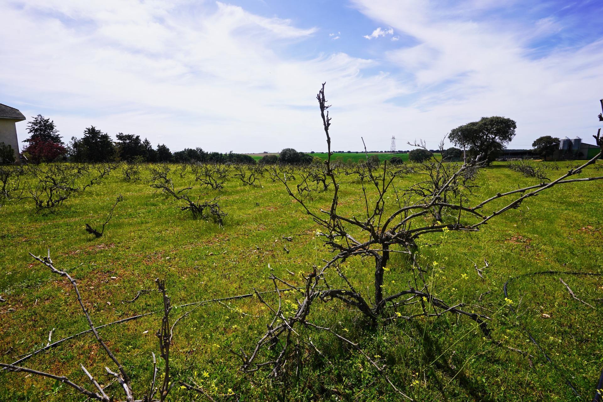 Terreno en venta en Topas 5/14