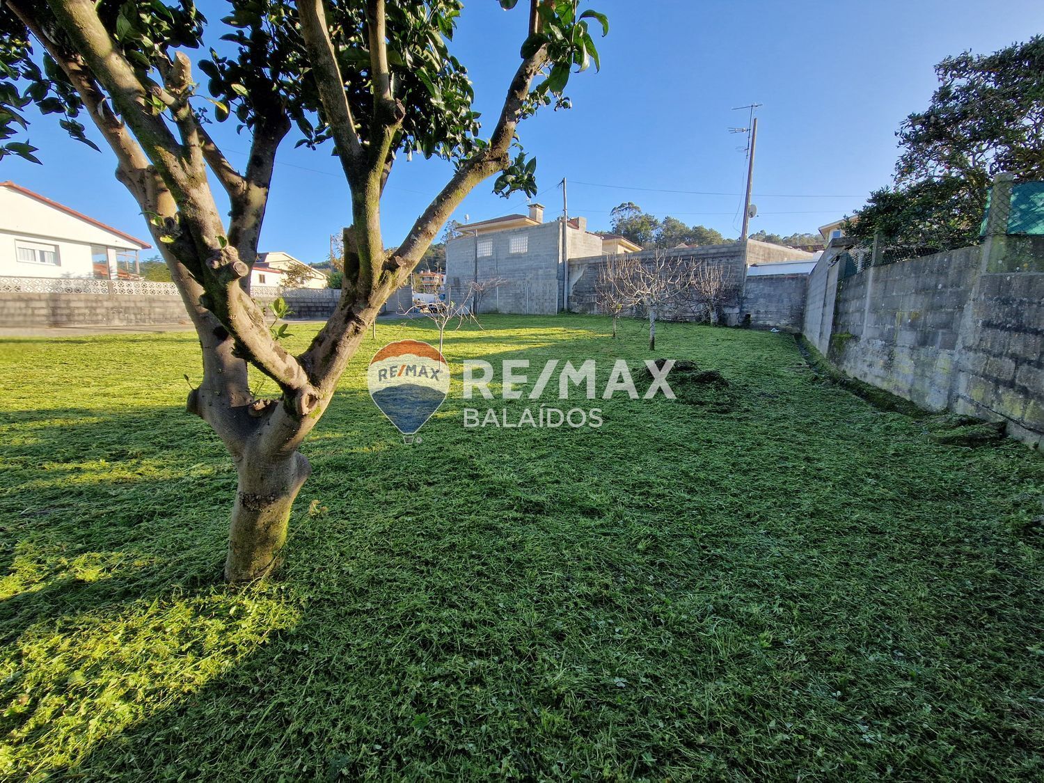 Fincas y solares-Venta-Vigo-1506899-Foto-14