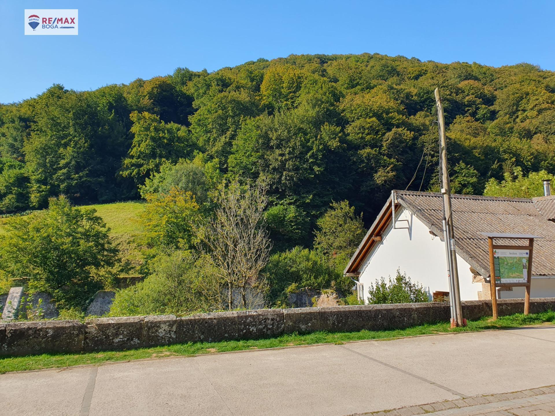 Casas o chalets-Venta-Orbaitzeta-1885393-Foto-28