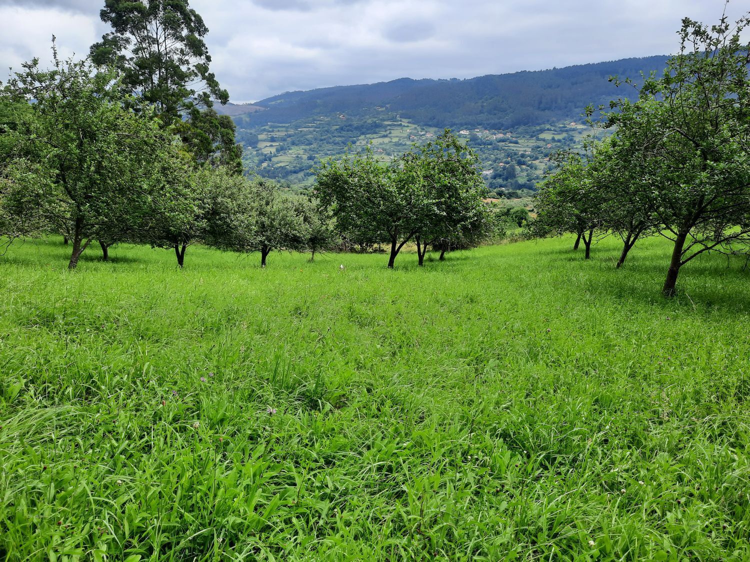 Fincas y solares-Venta-623986