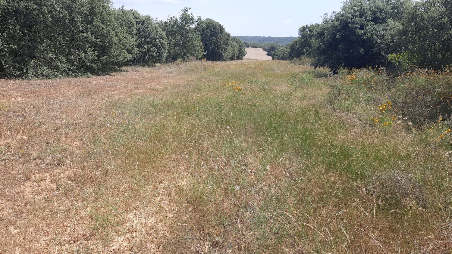 Suelo en venta, Villares de Órbigo, León