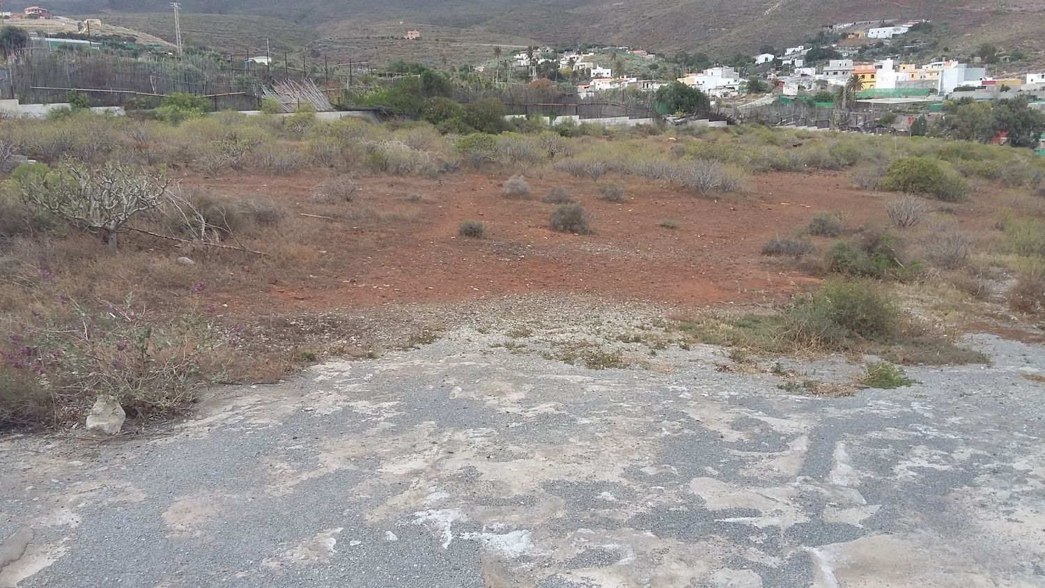 Fincas y solares-Venta-Ingenio-1506636-Foto-12