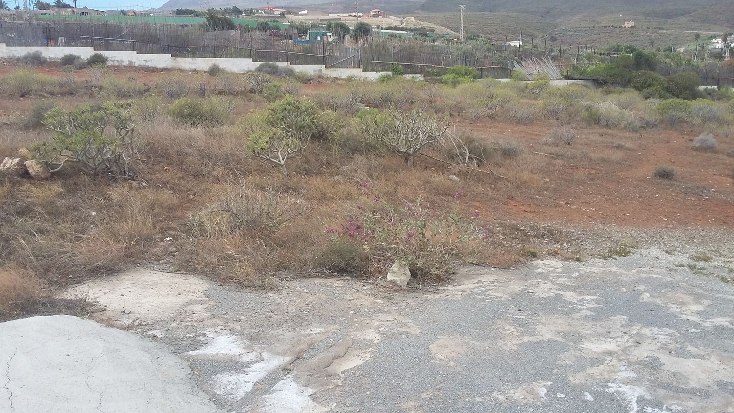 Fincas y solares-Venta-Ingenio-1506636-Foto-13