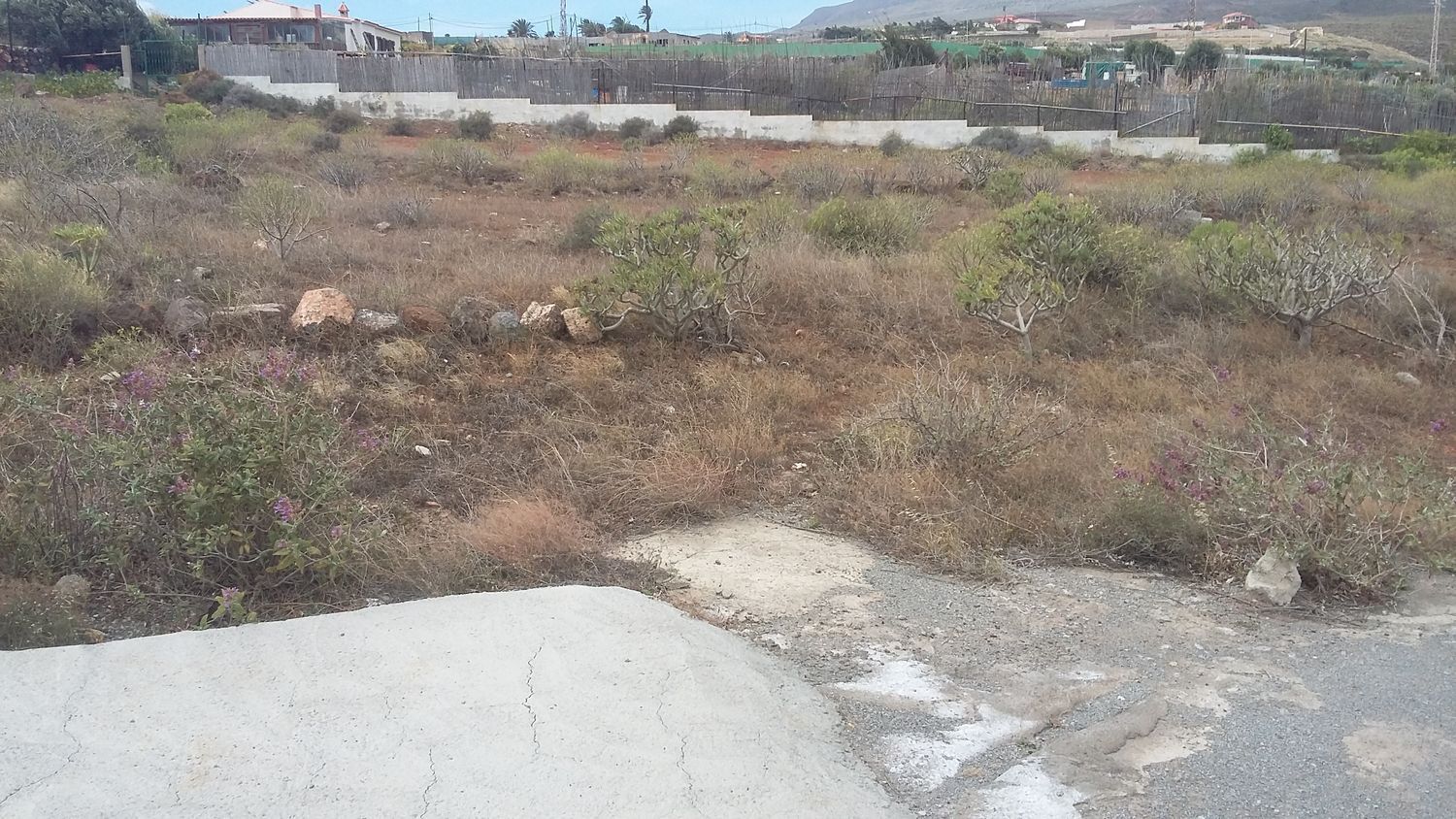 Fincas y solares-Venta-Ingenio-1506636-Foto-14