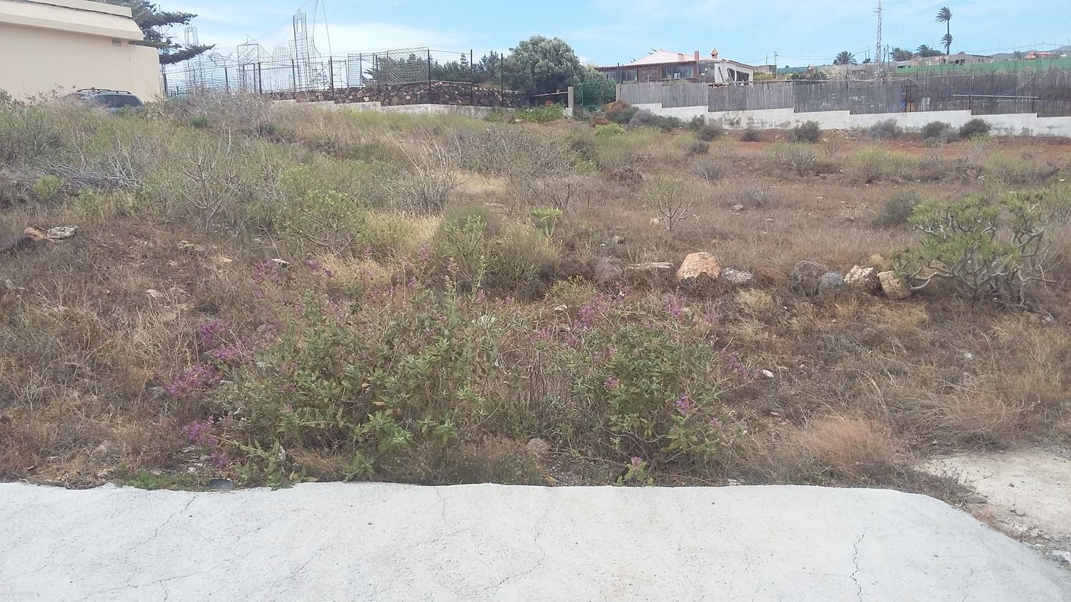 Fincas y solares-Venta-Ingenio-1506636-Foto-15
