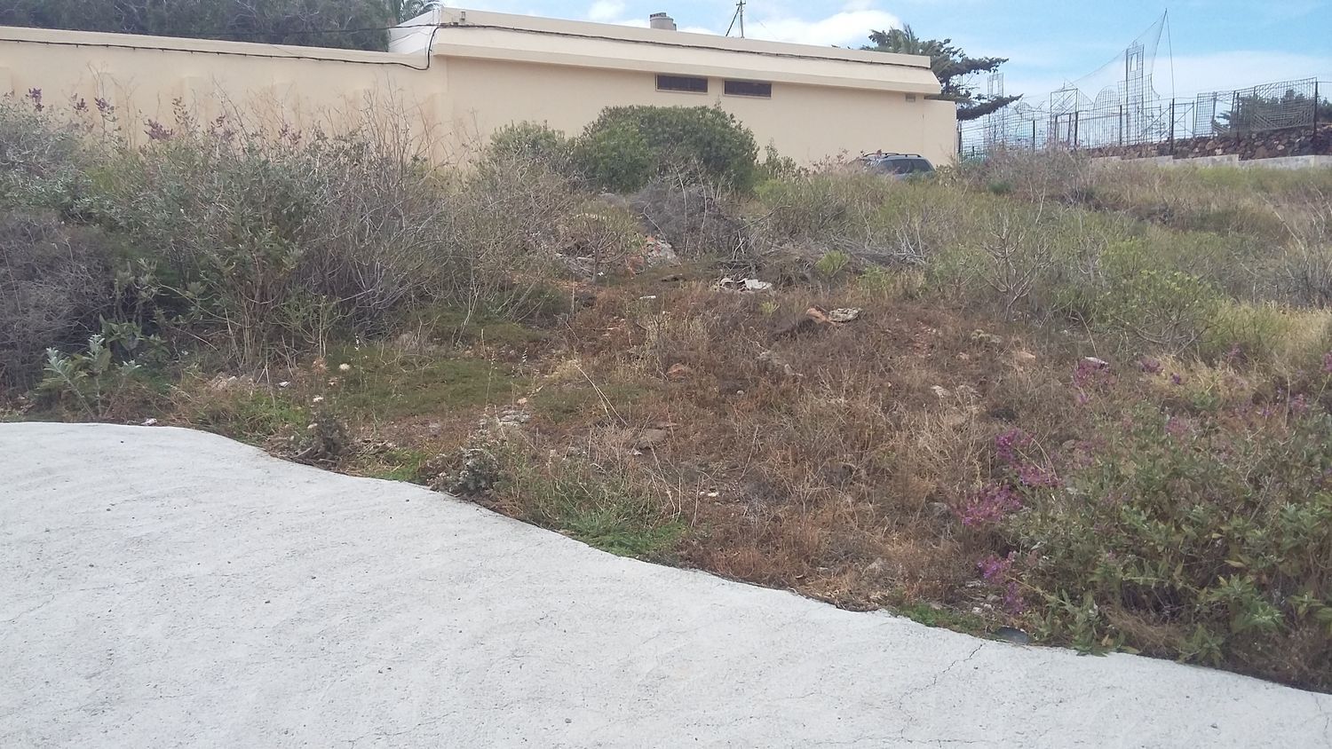 Fincas y solares-Venta-Ingenio-1506636-Foto-16