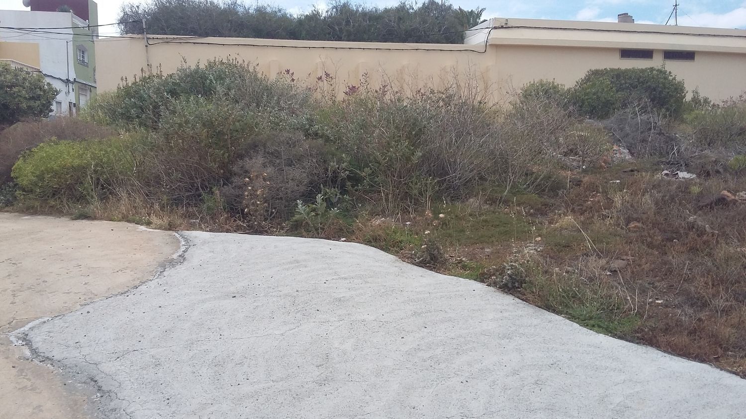 Fincas y solares-Venta-Ingenio-1506636-Foto-17