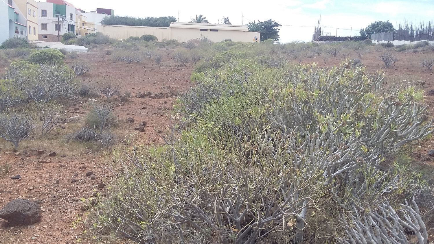 Fincas y solares-Venta-Ingenio-1506636-Foto-20