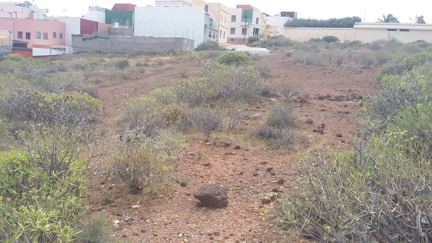 Fincas y solares-Venta-Ingenio-1506636-Foto-21