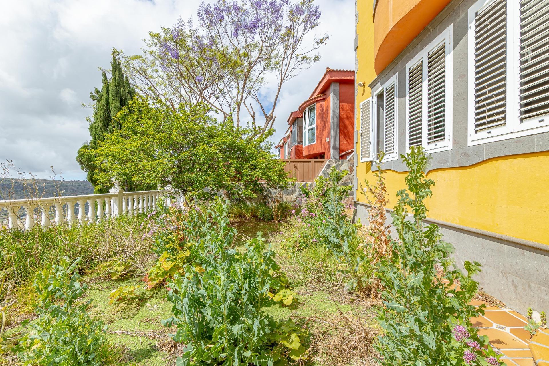 Casas o chalets-Venta-Santa BrÃ­gida-1941902-Foto-7