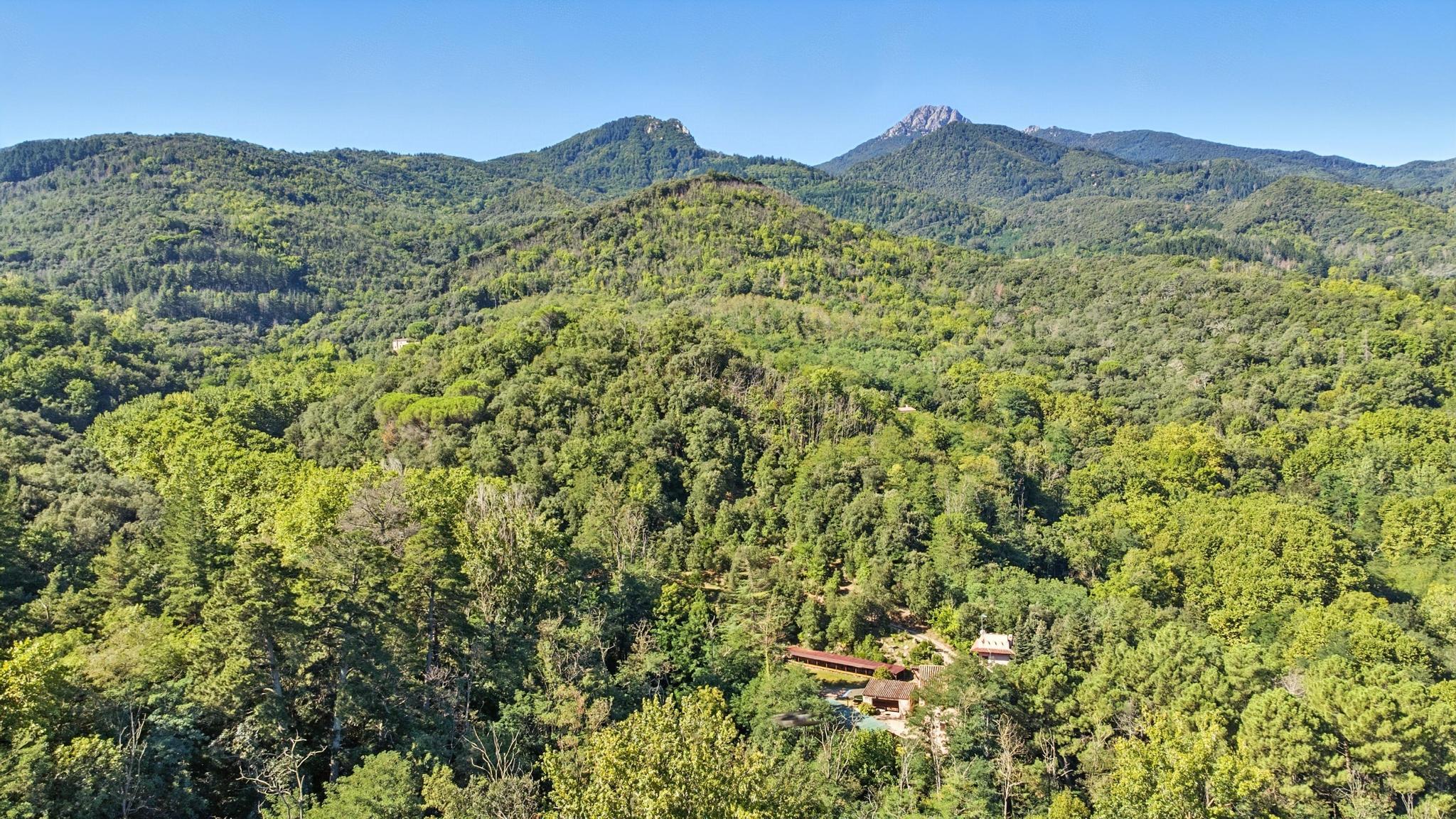 Casas o chalets-Venta-ArbÃºcies-1941531-Foto-3
