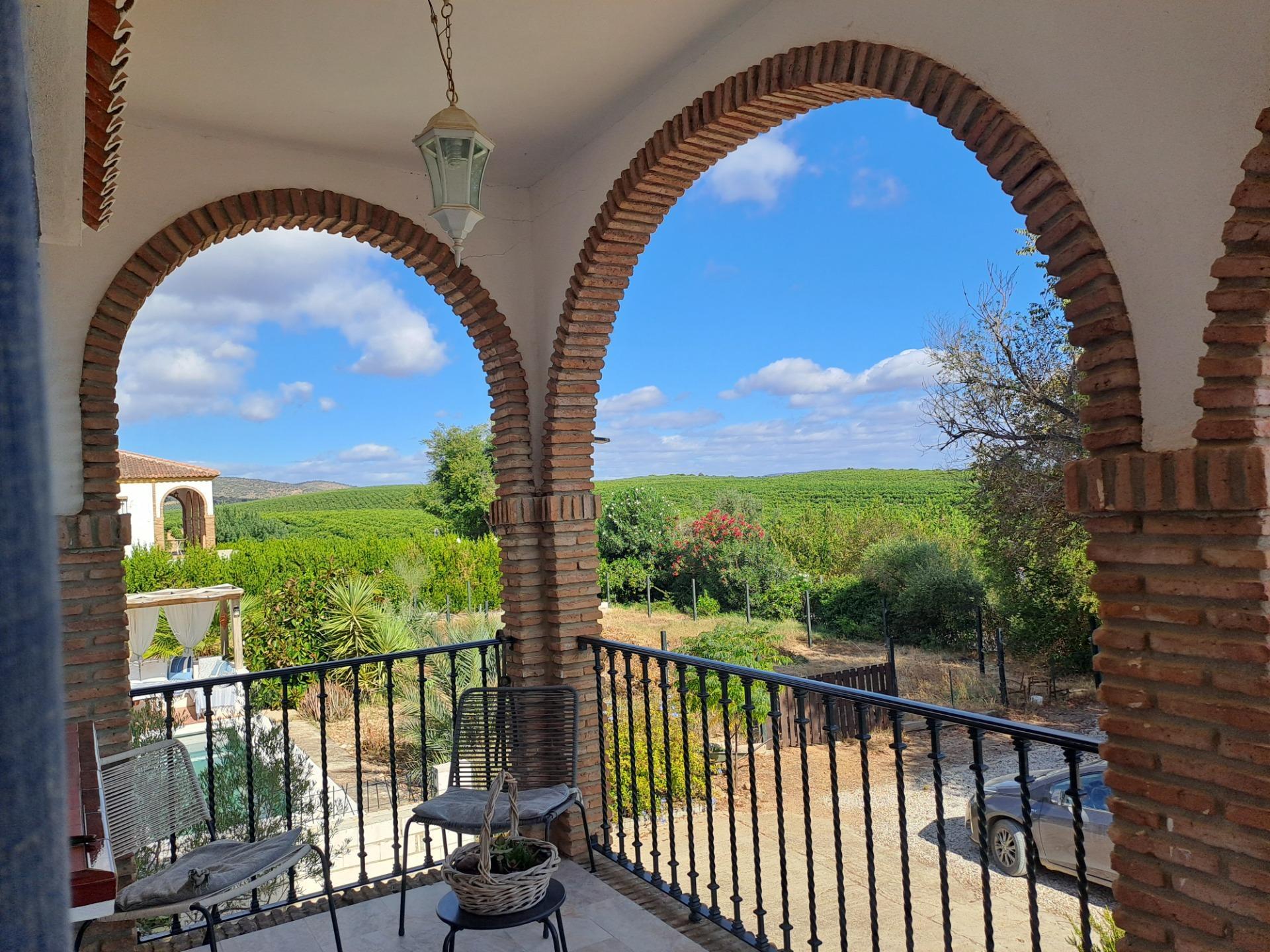 Casas o chalets-Venta-1969732