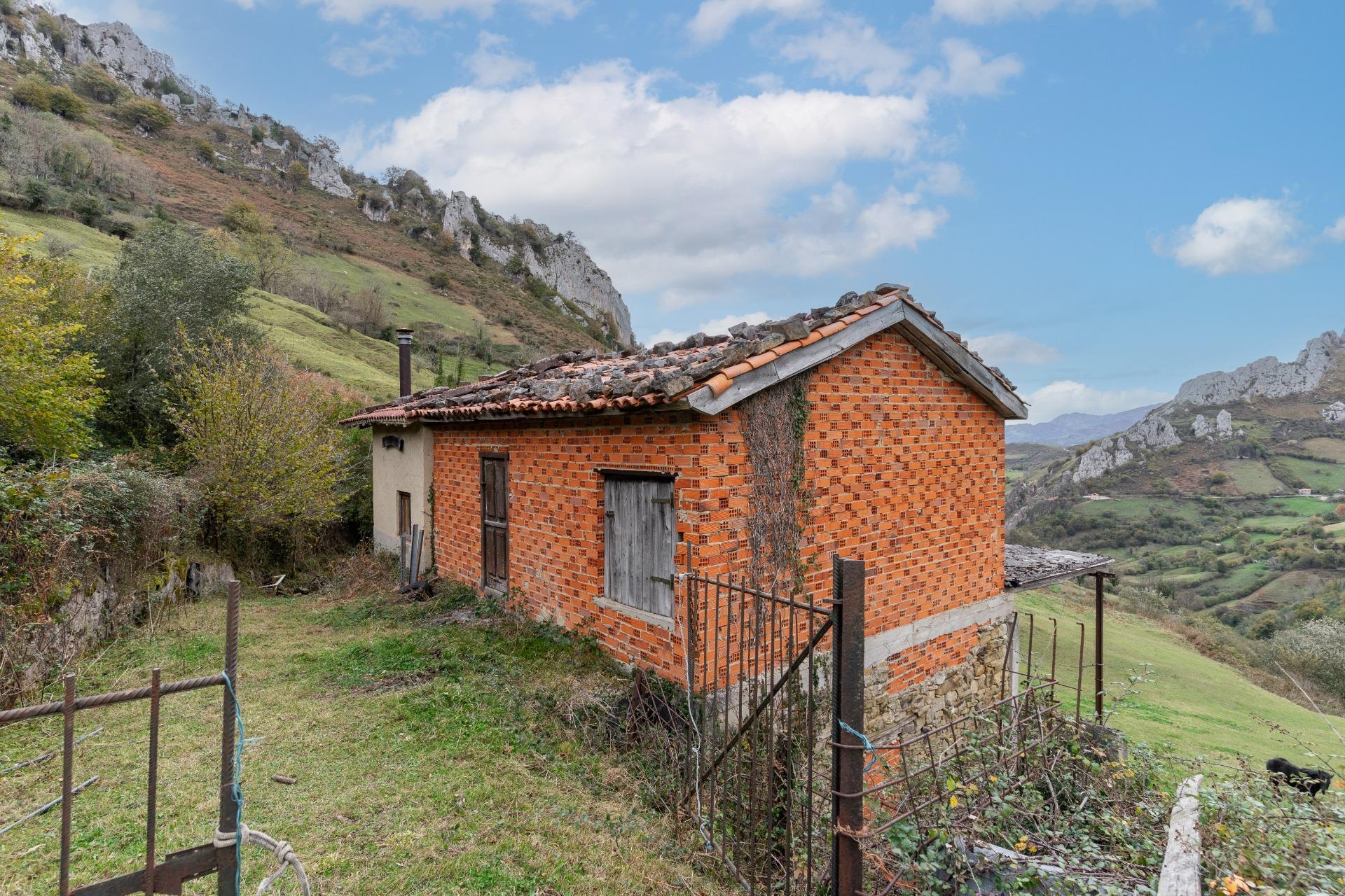 Fincas y solares-Venta-Laviana-1969762