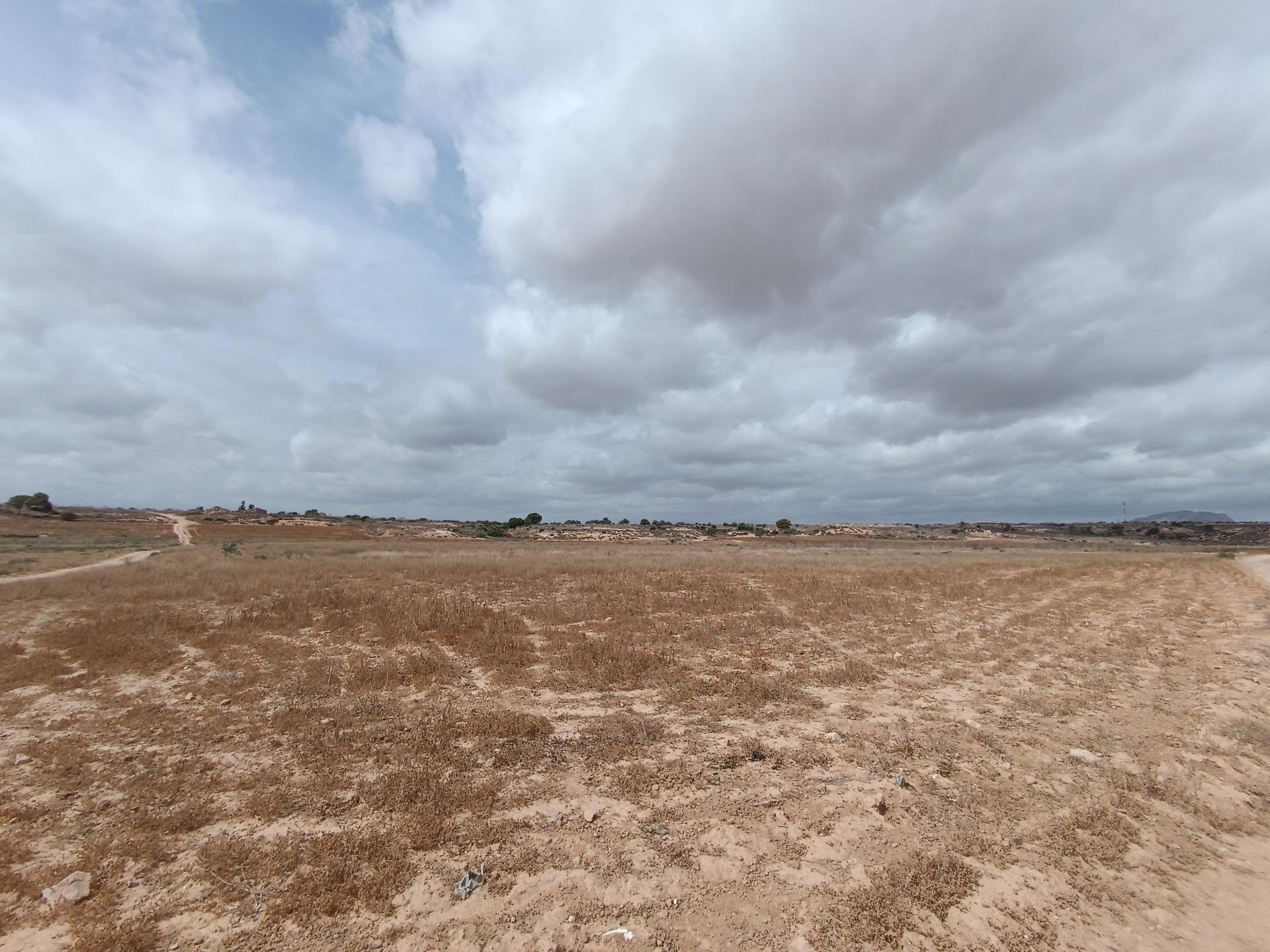 Fincas y solares-Venta-Sucina-1973009-Foto-6