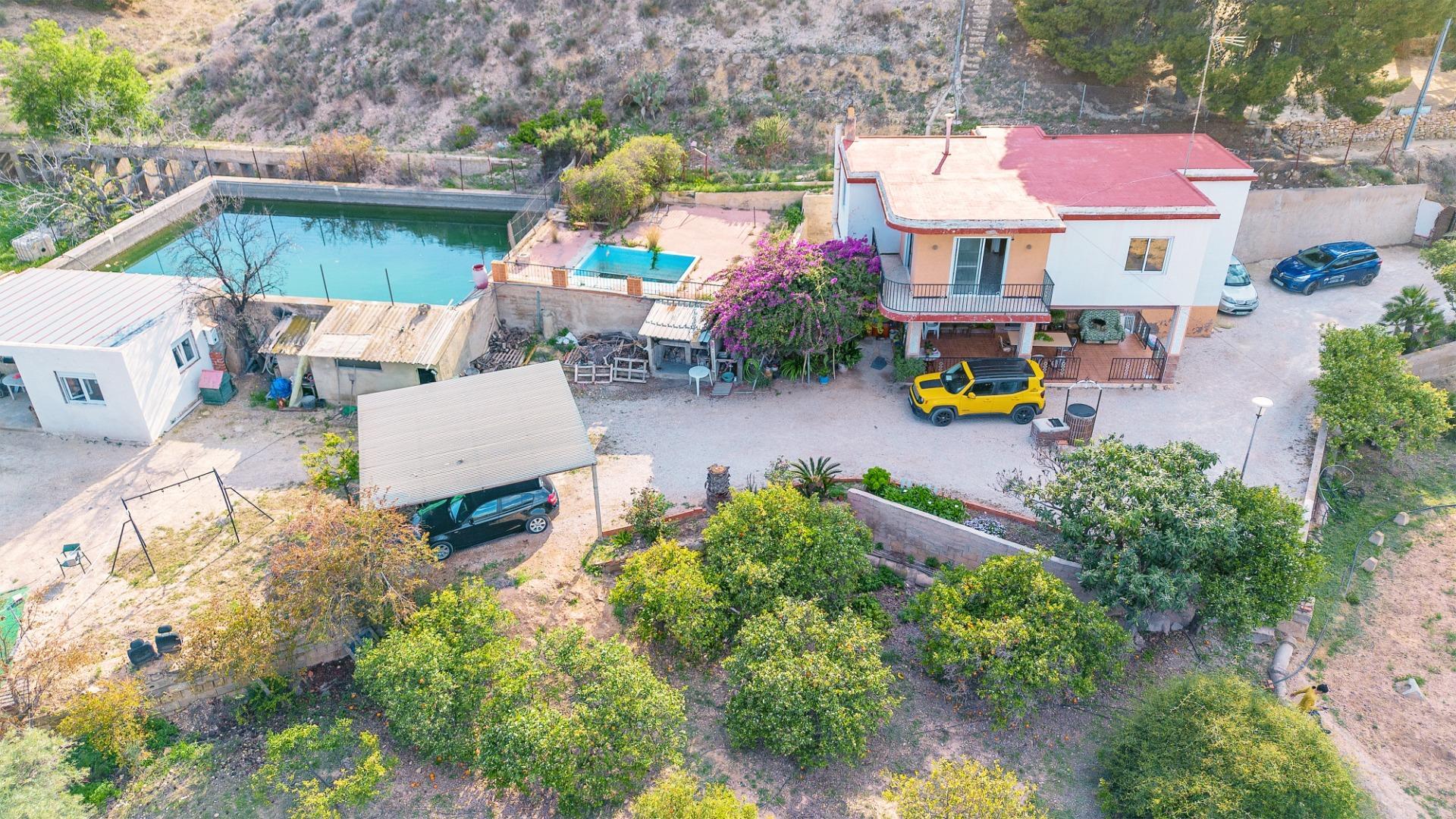 Casas o chalets-Venta-Elche-1684861-Foto-2