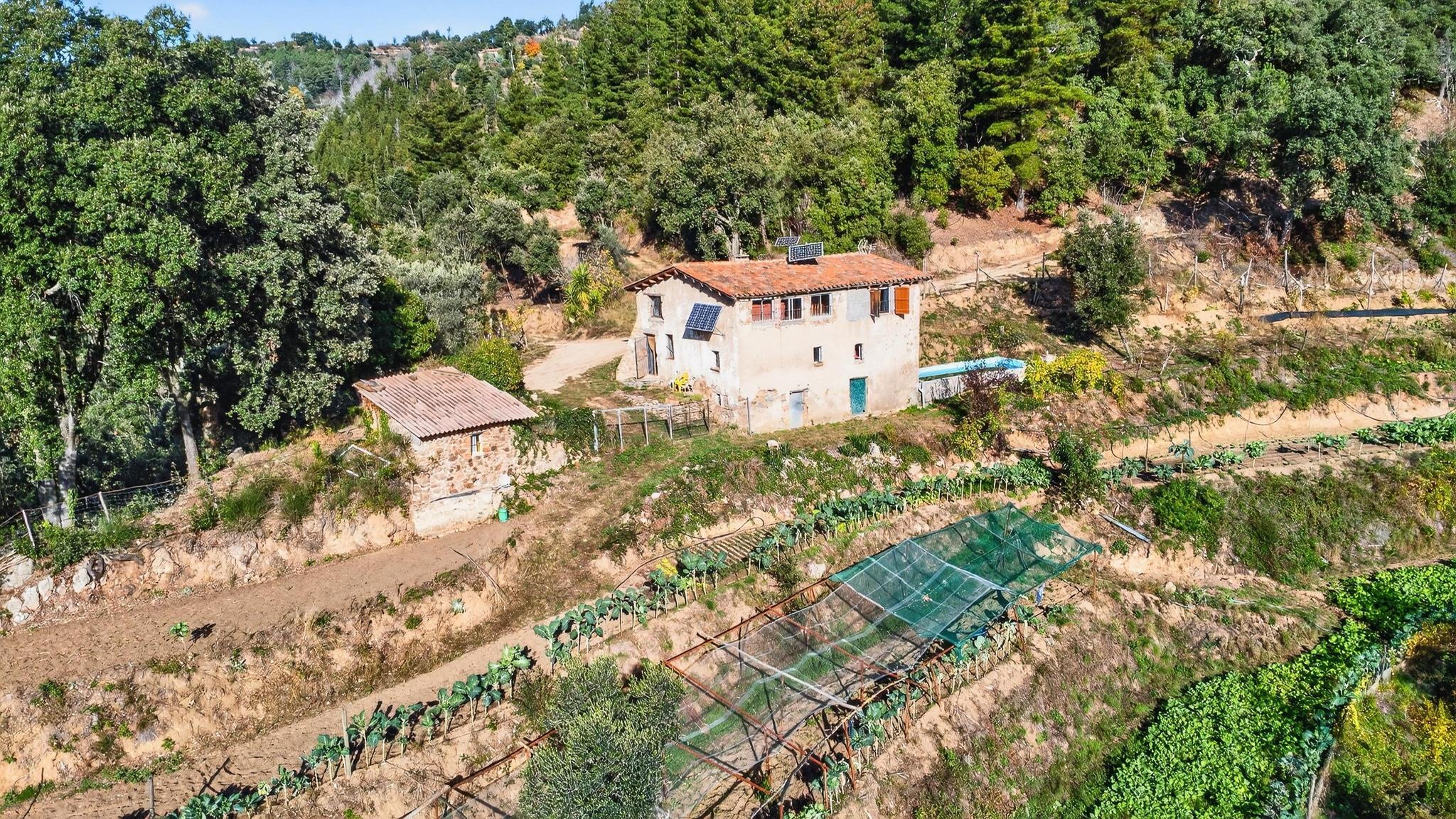 Pisos-Venta-ArbÃºcies-1941504-Foto-2