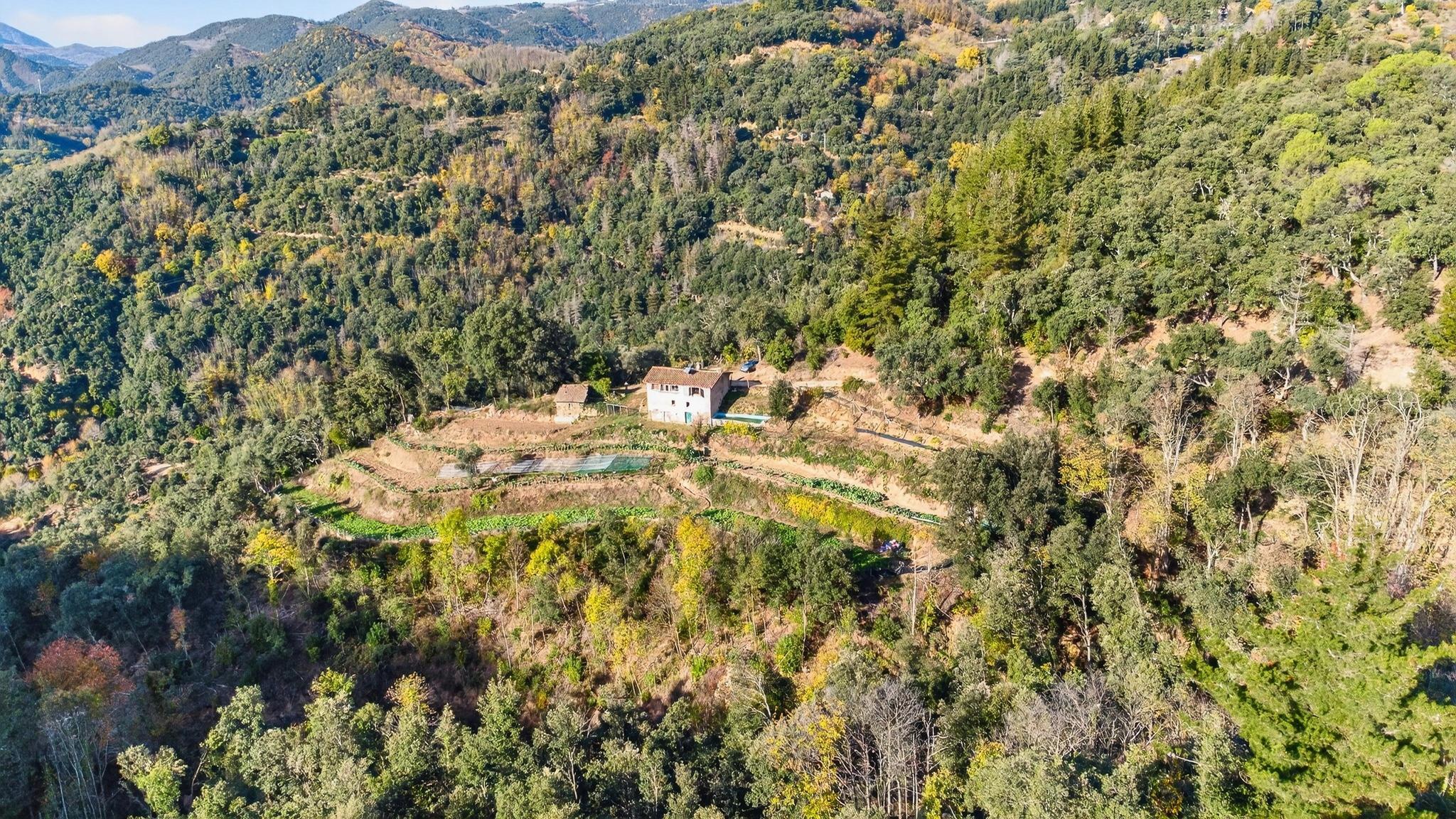 Pisos-Venta-ArbÃºcies-1941504-Foto-9