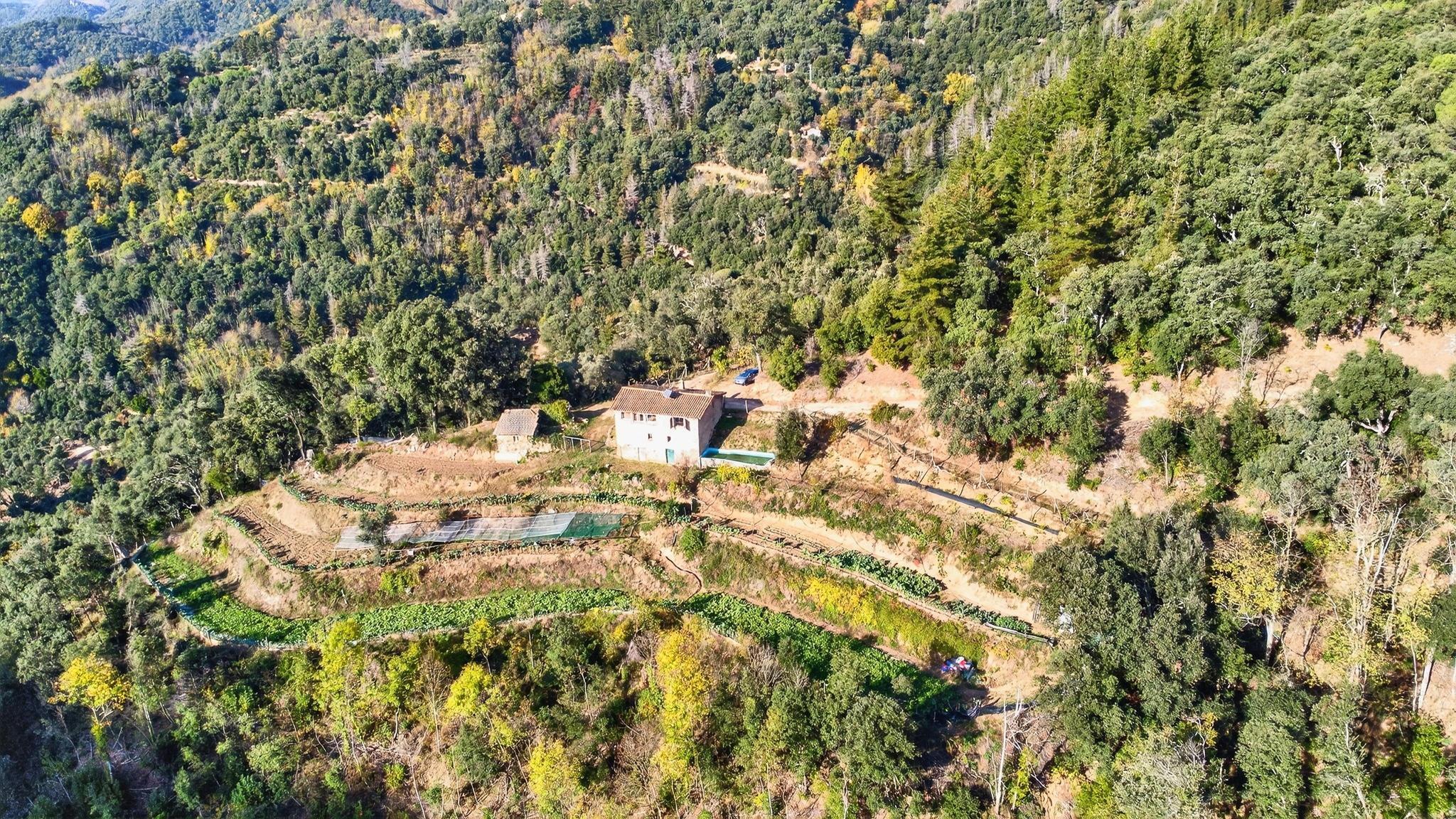 Pisos-Venta-ArbÃºcies-1941504-Foto-8