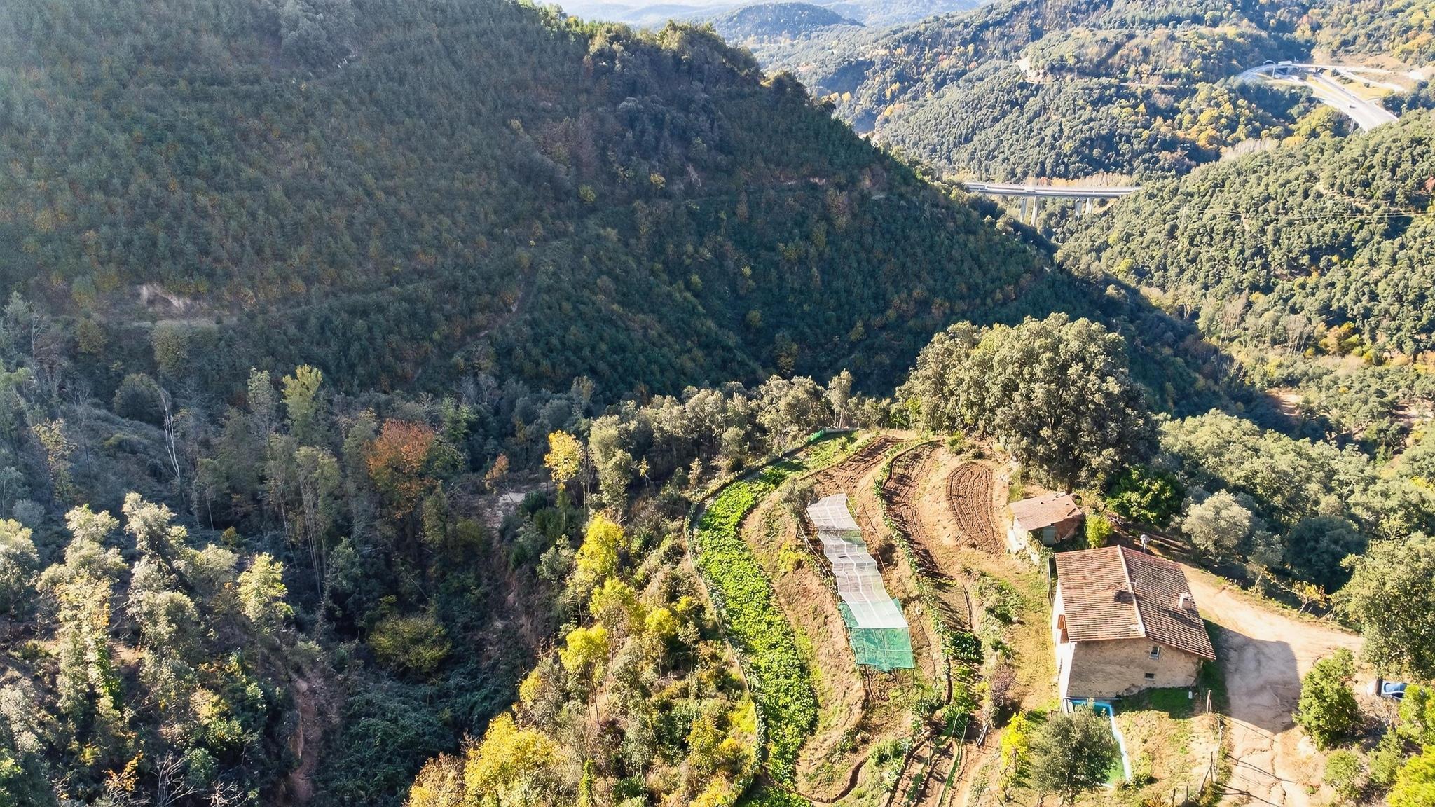 Pisos-Venta-ArbÃºcies-1941504-Foto-6