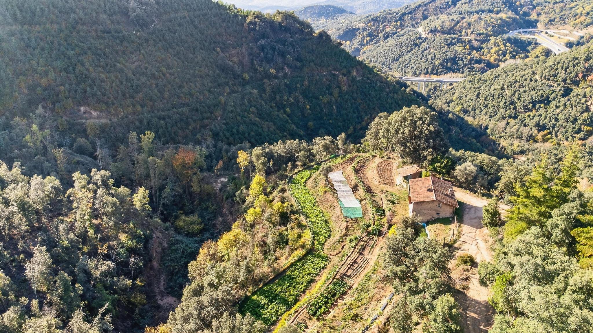 Pisos-Venta-ArbÃºcies-1941504-Foto-7