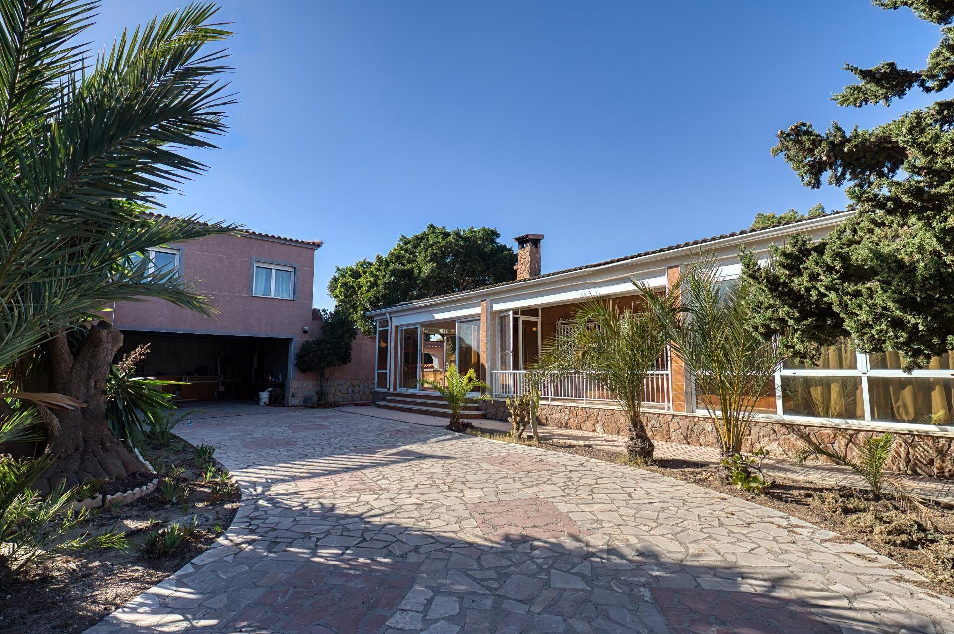 Casas o chalets-Venta-La Marina-2010266-Foto-4