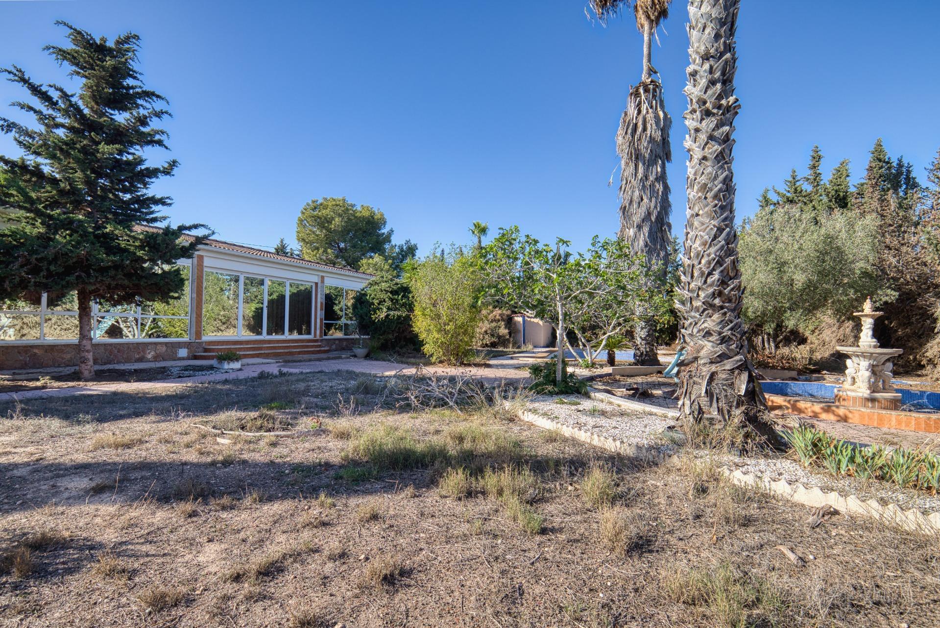 Casas o chalets-Venta-La Marina-2010266-Foto-12