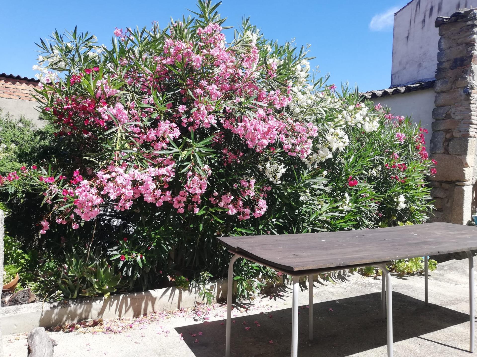 Casa en venta en Alcuescar 69/89