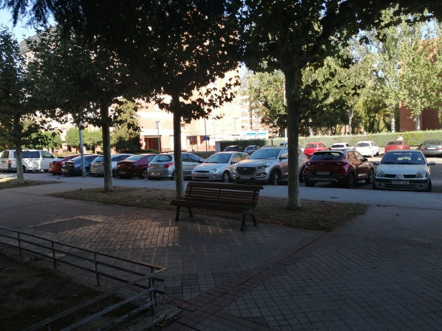 Negocios-Alquiler-Valladolid-2413088-Foto-13