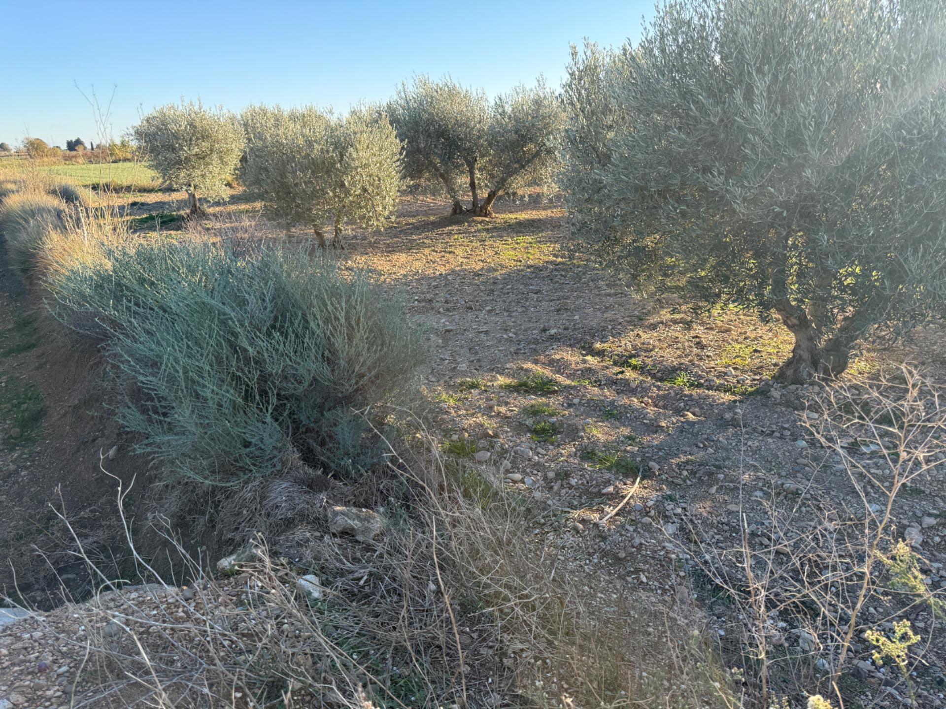 Suelo en venta, Villamayor de Gállego, Zaragoza