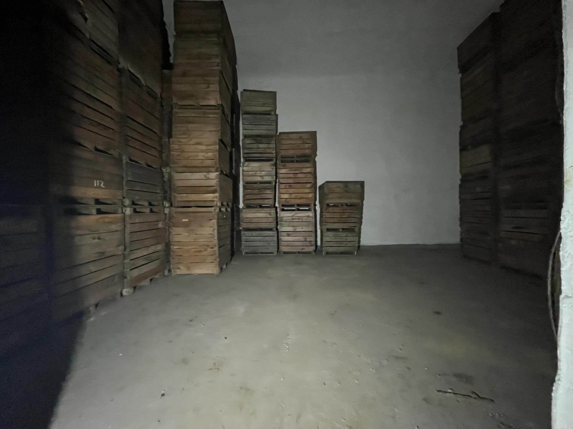 Naves-Venta-MorÃ©s-2415929-Foto-16