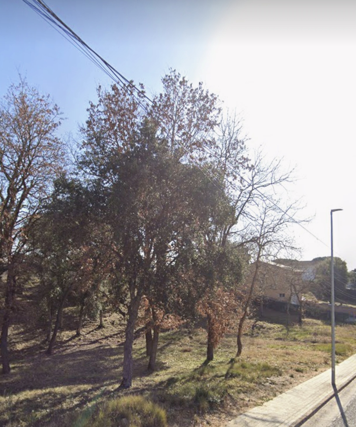 Fincas y solares-Venta-Sils-1995243-Foto-5