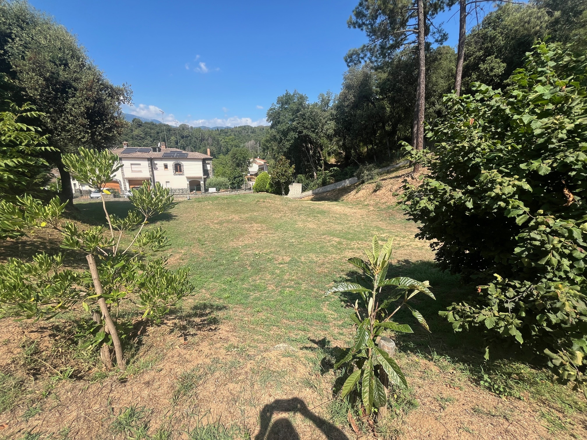 Negocios-Venta-ArbÃºcies-1893757-Foto-12