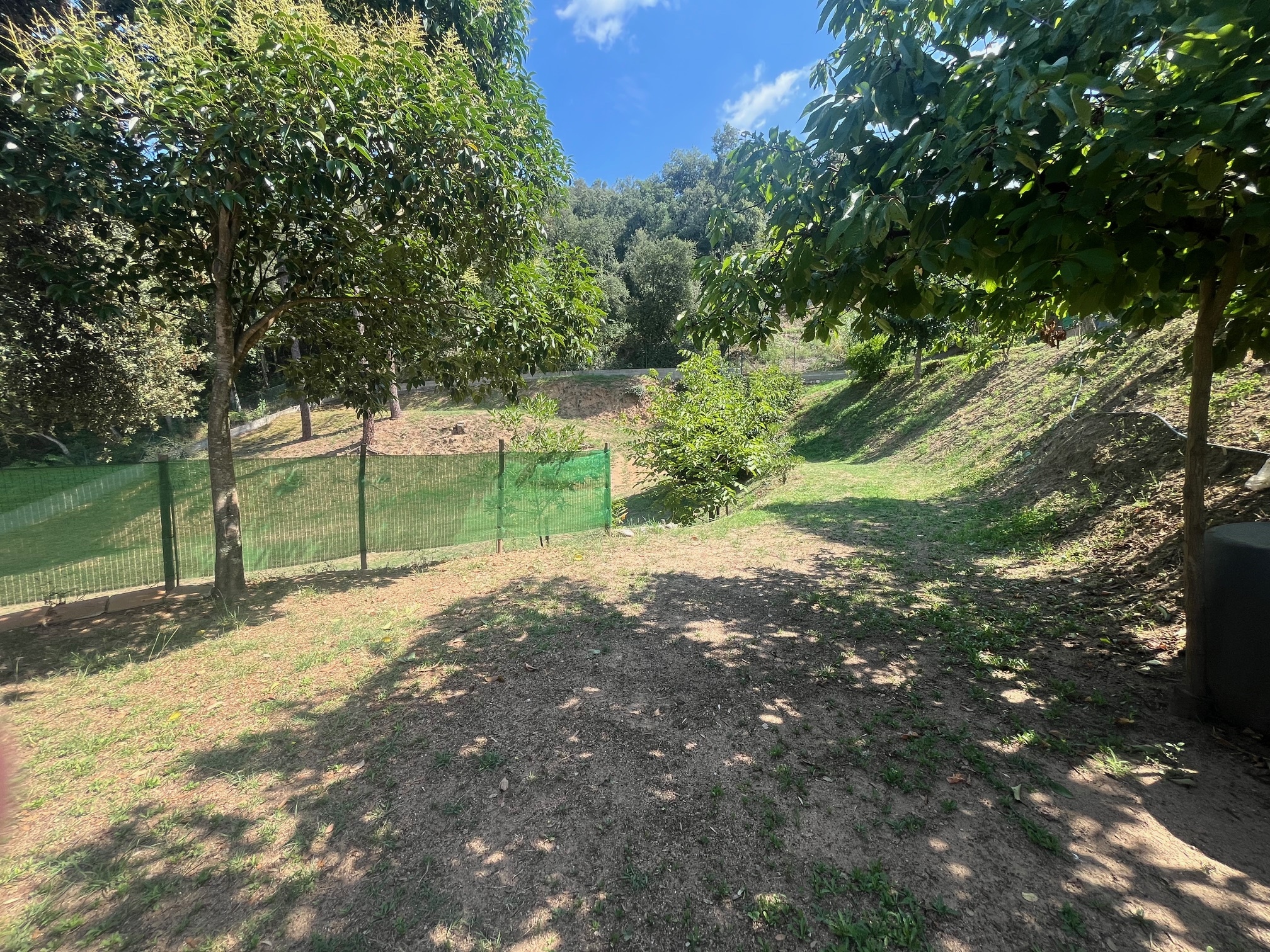 Negocios-Venta-ArbÃºcies-1893757-Foto-14