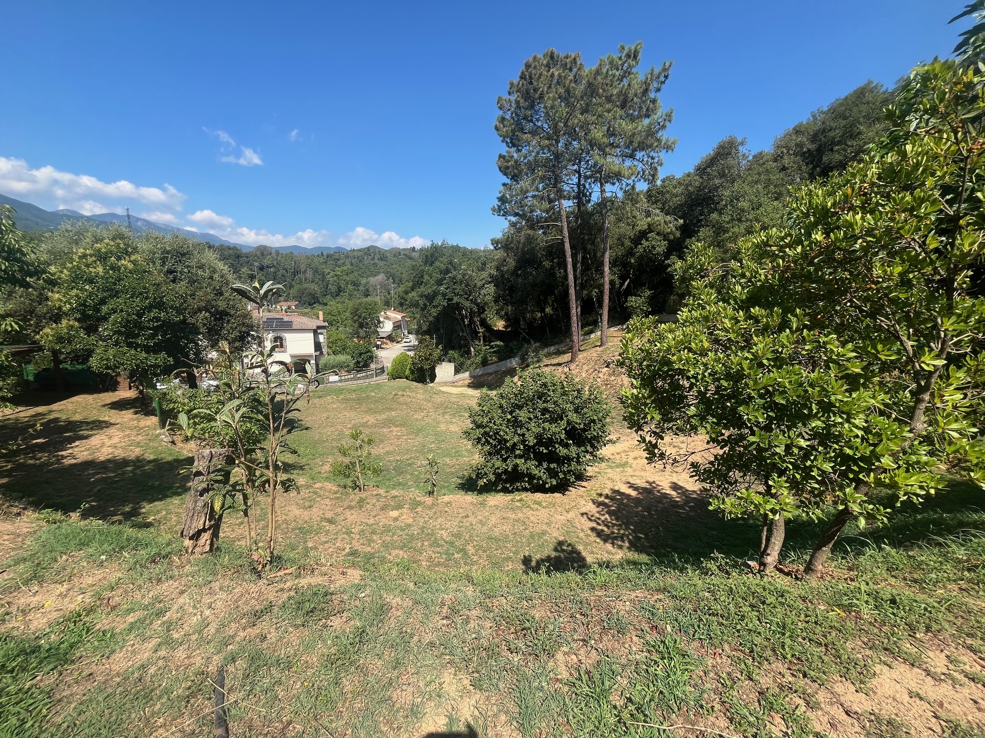 Negocios-Venta-ArbÃºcies-1893757-Foto-17